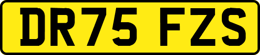 DR75FZS