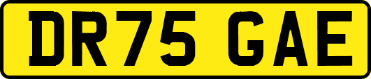 DR75GAE