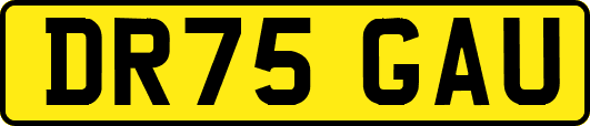 DR75GAU