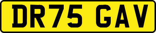 DR75GAV