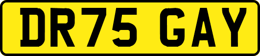 DR75GAY