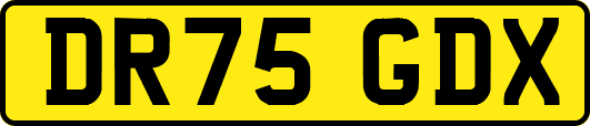DR75GDX