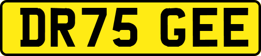 DR75GEE