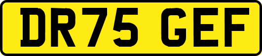 DR75GEF