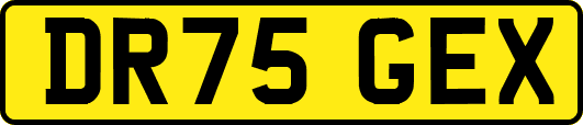 DR75GEX