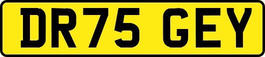 DR75GEY