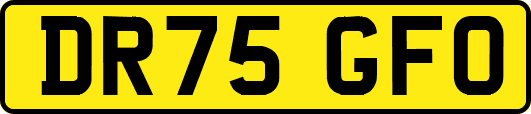 DR75GFO