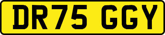 DR75GGY