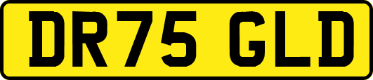DR75GLD