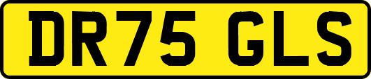 DR75GLS