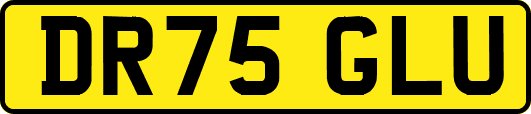 DR75GLU