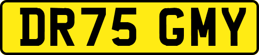 DR75GMY