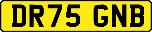 DR75GNB