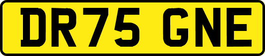 DR75GNE