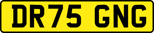 DR75GNG
