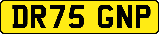 DR75GNP