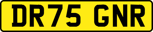 DR75GNR