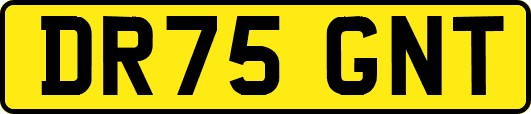 DR75GNT