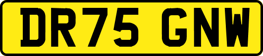 DR75GNW