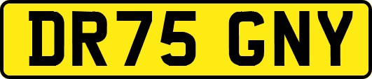 DR75GNY