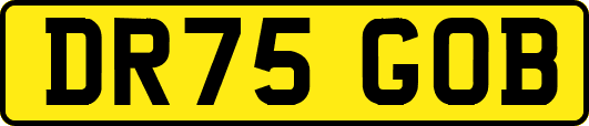 DR75GOB