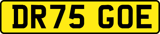 DR75GOE