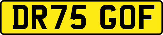 DR75GOF