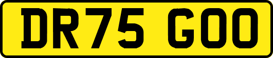 DR75GOO