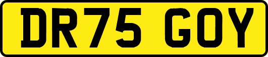 DR75GOY