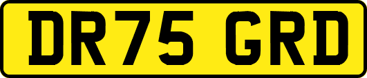 DR75GRD