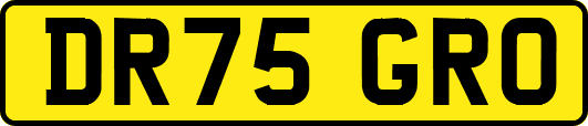 DR75GRO