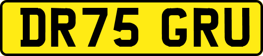 DR75GRU