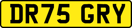 DR75GRY