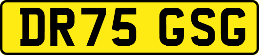 DR75GSG