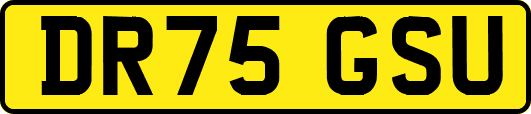 DR75GSU
