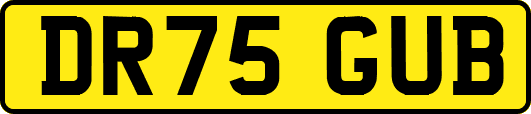 DR75GUB