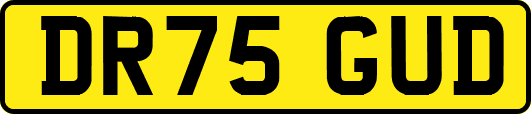 DR75GUD