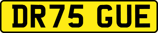 DR75GUE