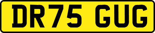 DR75GUG