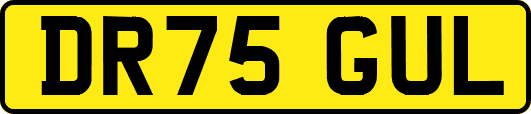 DR75GUL