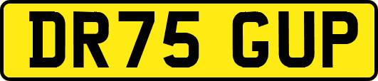 DR75GUP