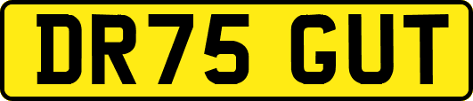 DR75GUT