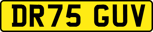 DR75GUV
