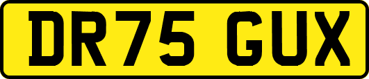 DR75GUX