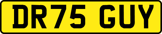 DR75GUY