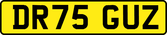 DR75GUZ