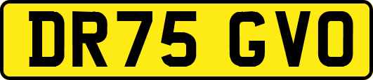 DR75GVO