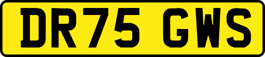 DR75GWS