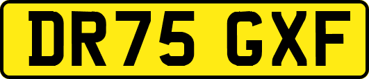 DR75GXF