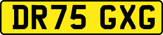 DR75GXG